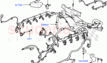 Electrical Wiring - Engine And Dash (Engine) (5.0L OHC SGDI NA V8 Petrol - AJ133) &hellip;