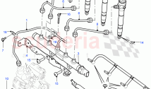 Fuel Injectors And Pipes (2.2L 16V TC I4 DSL 122PS PUMA) ((V) FROMCA000001)