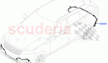 Electrical Wiring - Body And Rear (Bumper)