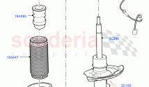 Front Suspension Struts And Springs (Changsu (China)) ((V) FROMFG000001)