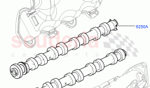 Timing Gear, Camshafts & Drive