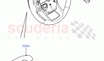 Steering Wheel (SVR Version, SVR) ((V) FROMFA000001)