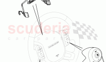 Switches (Steering Wheel)
