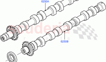 Timing Gear, Camshafts & Drive