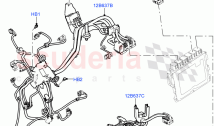 Engine Harness (LH Side) (4.4 V8 Turbo Petrol (NC10))