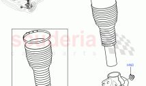 Front Suspension Struts And Springs (Nitra Plant Build) ((V) FROMM2000001)