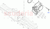 Throttle Housing (Nitra Plant Build) (3.0L AJ20D6 Diesel High) ((V) FROMM2000001)