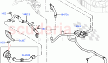 Heater Hoses (3.0L AJ20P6 Petrol High, With Fuel Fired Heater)