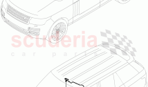 Electrical Wiring - Body And Rear (Roof)