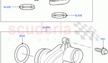 Thermostat/Housing & Related Parts (Lion Diesel 2.7 V6 (140KW)) ((V) FROMAA000001)