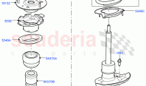 Rear Springs And Shock Absorbers (Itatiaia (Brazil)) ((V) FROMGT000001)
