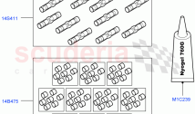 Pigtail Wiring Kits (Changsu (China)) ((V) FROMEG000001)