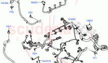Engine Harness (2.0L I4 DSL HIGH DOHC AJ200)