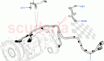 Transmission Harness (Nitra Plant Build) ((V) FROMM2000001)