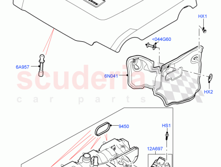 Photo of STUD BALL…