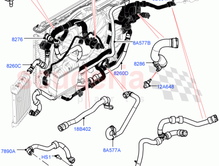 Photo of HOSE RADIATOR…