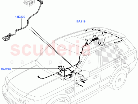 Photo of WIRE RADIO FEED…