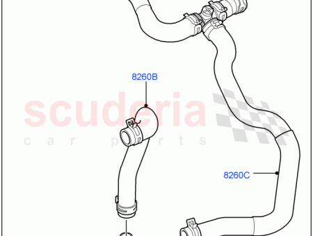 Photo of PIN FIXING…