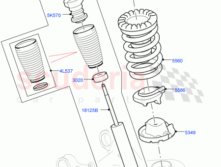 Photo of SPRING REAR…