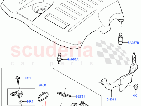 Photo of STUD BALL…