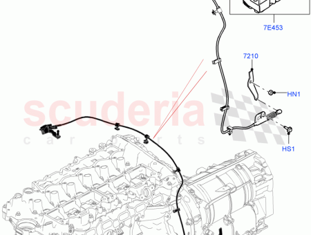 Photo of STUD SPECIAL…